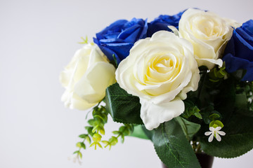 Obraz na płótnie Canvas background of blue and white fresh rose flowers close up