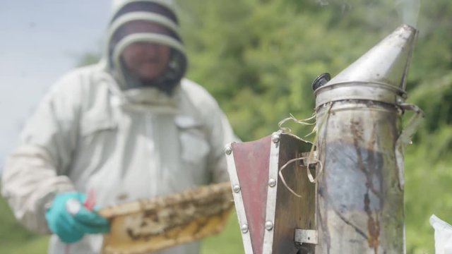  Bee keeper lifting out honeycomb from the hive to take a look