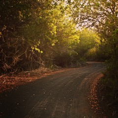 A empty dirty road close to sunset, in Galapagos Islands, Ecuador