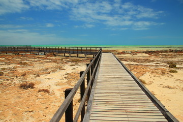 Hamelin pool in Shark Bay, Western Australia