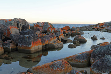 Fototapeta na wymiar Red rocks at Bay of Fires, Tasmania, Australia