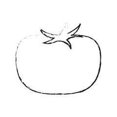 tomato fruit icon image vector illustration design 