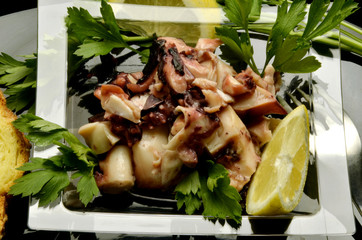 Octopus vulgaris Obična hobotnica Achtarm Bạch tuộc thông thường Insalata Meritursas di Ośmiornica ensalada zwyczajna polpo 普通章魚 salad Pieuvre תמנון החוף pulpo © Comugnero Silvana