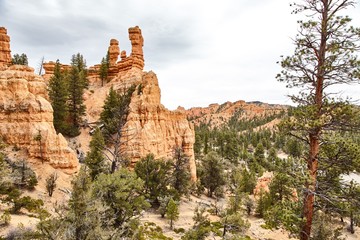 Incredibly beautiful landscape in Bryce Canyon National Park, Utah, USA.