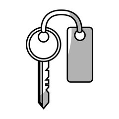 key with keychain, icon over white background. vector illustration