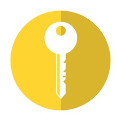 key icon over white background. vector illustration