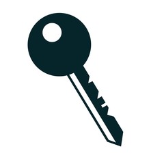 key icon over white background. vector illustration