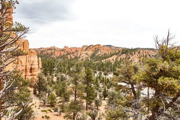 Fototapeta na wymiar Incredibly beautiful landscape in Bryce Canyon National Park, Utah, USA.