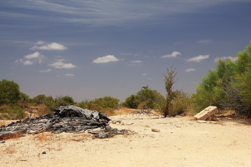 Fototapeta na wymiar Grave in Australian outback