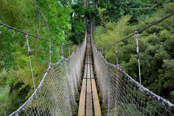 Pont suspendu en forêt tropicale