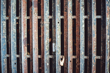 close up of rusty iron grate on the road.