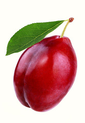 plum with leaf