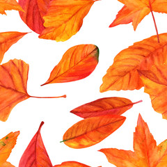 Fototapeta premium Wzór z żywymi liśćmi akwarela na białym backgro