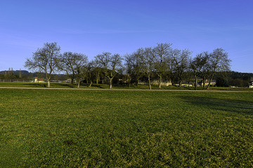 Kammerhof im März