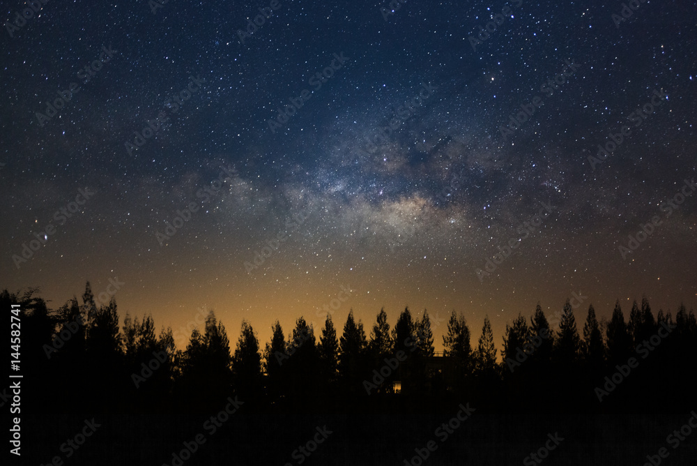 Wall mural beautiful milkyway and silhouette of pine tree on a night sky before sunrise