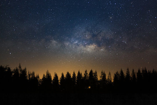 Fototapeta Beautiful milkyway and silhouette of pine tree on a night sky before sunrise