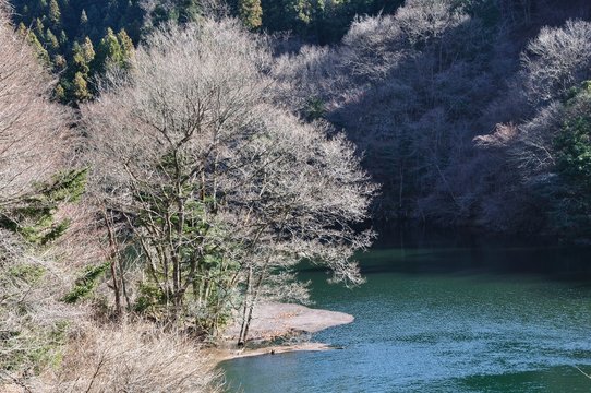 早戸川 冬の風景