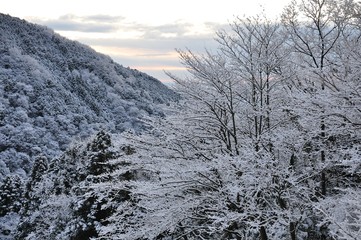 夜明け前の雪山