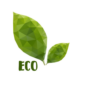 Low poly leafs. Eco concept