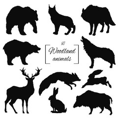 hand drawn silhouette isolated woodland forest animals: bear, deer, lynx, wolf, fox, aper, hare