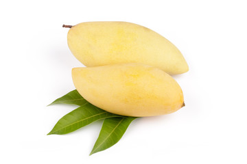 Mango fruit with leaf white background