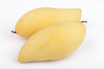 Yellow mango fruit on white background