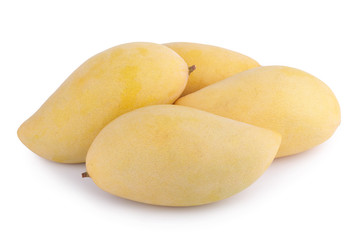 Yellow mango fruit on white background