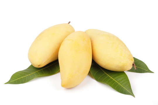 Mango fruit with leaf white background