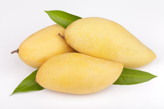Mango fruit with leaf white background