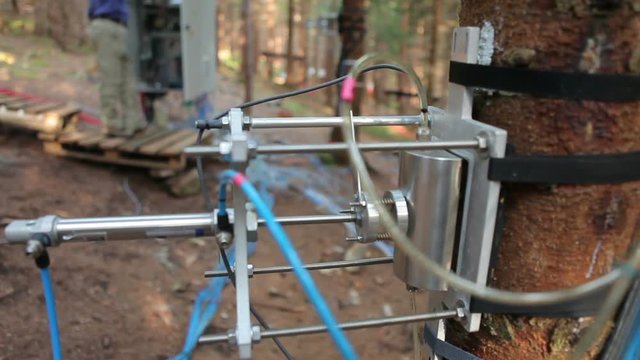 Scientific measurement of respiration tree trunk carbon dioxide, co2 global change, climate change, temperature, scientific research, modern methods, technology, science, Czech Republic, Europe, EU