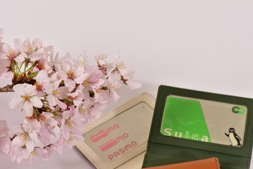 桜とＩＣ乗車券