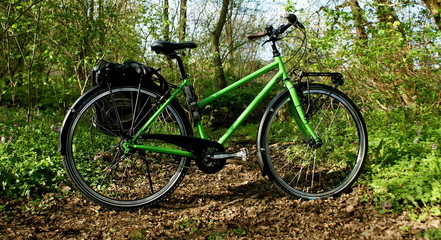 Fototapeta na wymiar Female Bicycle in Springtime Forest