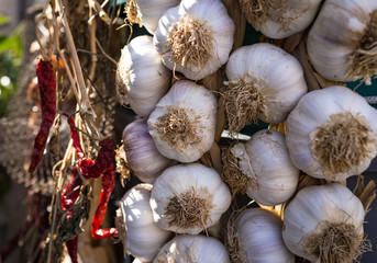 Garlic and dried red chilli in sun shine market.