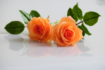 clay orange roses flower on white background