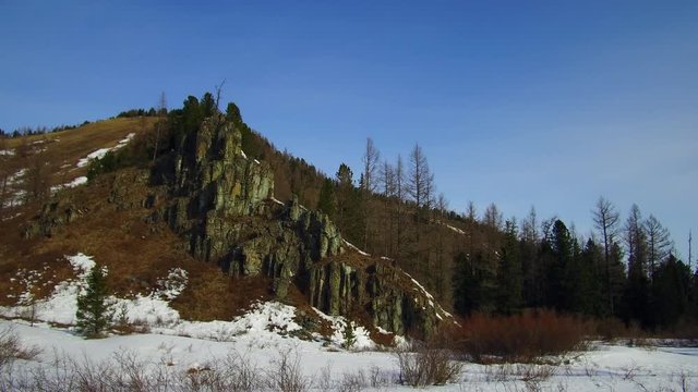 Video panorama of winter Altai mountains and fir forest in Multa region