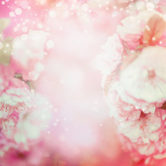 Blurred pale pink floral background with bokeh
