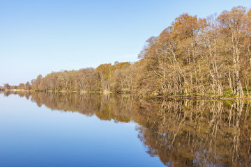 Forest lake with flat calm water