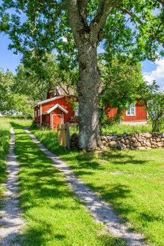 Rural Idyllic Red Cottage In Summer