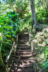 Wood Steps up Green Hill