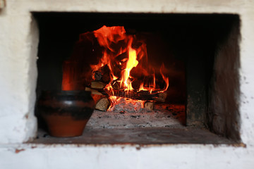 pot in the oven with food the oven fork