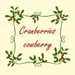 Background with cranberries. Vector background with branches, berries and leaves cranberries.