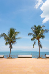 Fototapeta na wymiar Chair and palm tree on the beach.