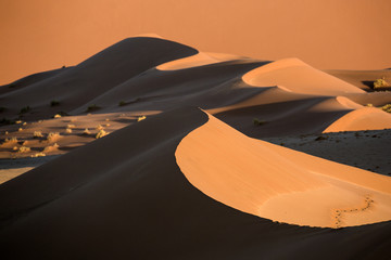 Fototapeta na wymiar Sand dune abstract.