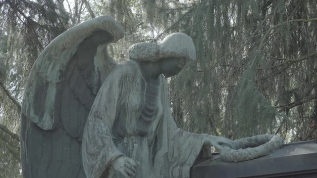 Old grave with an angel on a sunny spring day. Tilt from sky/ tree to angel. 4K in SLOG3. Medium shot.
