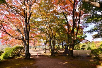 Naklejka premium 岡城の紅葉