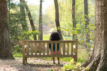 Park Bench Sitting in Woods 