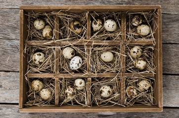 Quail eggs on hay in wooden box