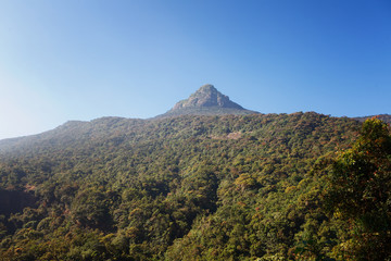 Fototapeta na wymiar Beautiful landscape. Top of the mountain Sri Pada Adam's Peak. Sri Lanka.