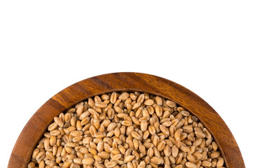 Wheat grain in bowl