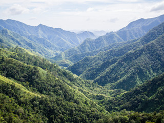 Fototapeta premium Rice terraces of Batad in Luzon, Philippines